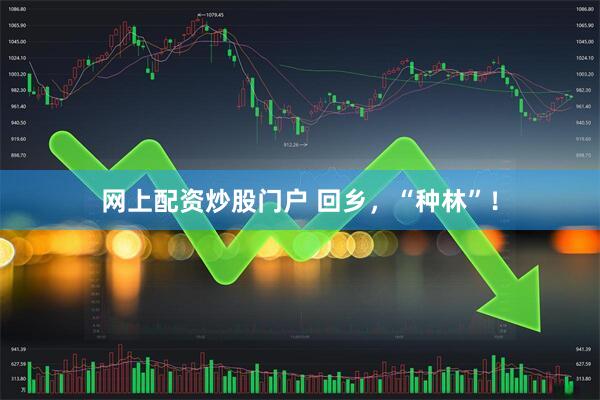 网上配资炒股门户 回乡，“种林”！