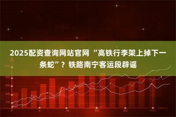2025配资查询网站官网 “高铁行李架上掉下一条蛇”？铁路南宁客运段辟谣